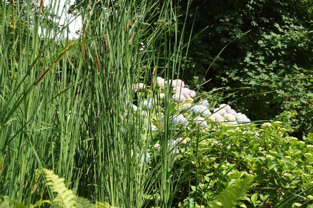 Bed & Breakfast Aan De Beek Arcen Exterior foto